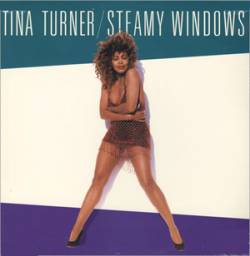 Tina Turner : Steamy Windows